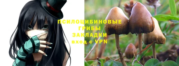 спиды Абдулино