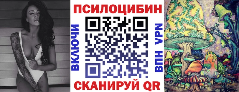 Галлюциногенные грибы Psilocybe  Бугуруслан 